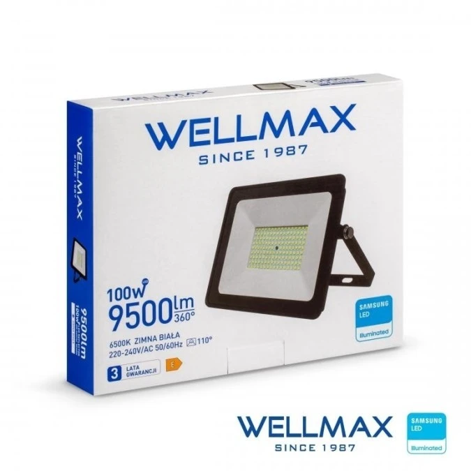 Naświetlacz LED 100W 95lm/W 9500lm IP65 Zimna 6500K SAMSUNG / GOL1FLZ100 - obrazek 1