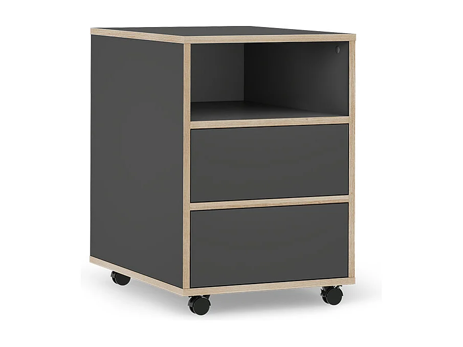 Kontener na rolki antracyt 42x55x60.5 tetrix 4784391