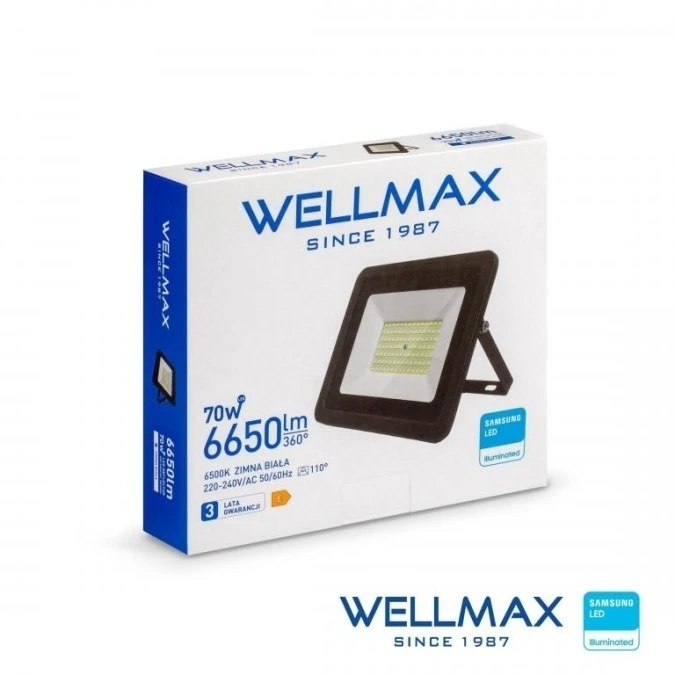 Naświetlacz LED 70W 95lm/W 6650lm IP65 Zimna 6500K SAMSUNG / GOL1FLZ070 - obrazek 1