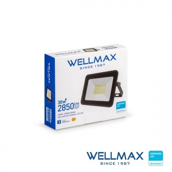 Naświetlacz LED 30W 95lm/W 2850lm IP65 Zimna 6500K SAMSUNG / GOL1FLZ030 - obrazek 1