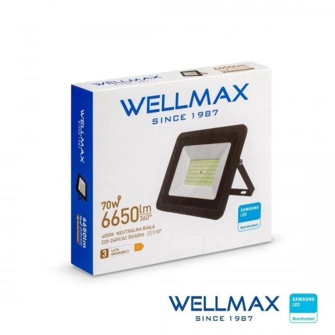 Naświetlacz LED 70W 95lm/W 6650lm IP65 Neutralna 4000K SAMSUNG / GOL1FLN070 - obrazek 1