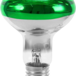 Żarówka żarówka Eurolite 9210410U E-27 60 W zielony 1 szt. Żarówka żarówka Eurolite 9210410U E-27 60 W zielony 1 szt.