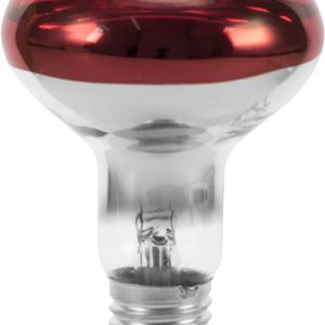 Żarówka żarówka Eurolite 9210360U E-27 60 W czerwony 1 szt. Żarówka żarówka Eurolite 9210360U E-27 60 W czerwony 1 szt.
