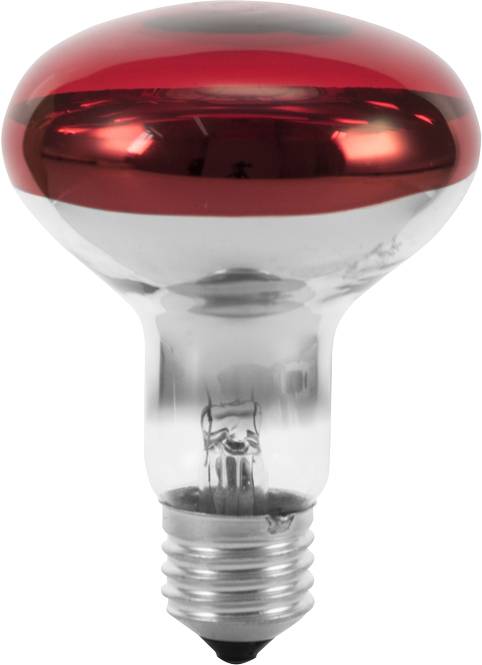 Żarówka żarówka Eurolite 9210360U E-27 60 W czerwony 1 szt. - obrazek 1