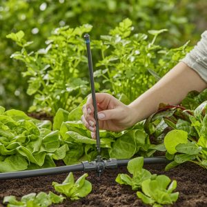 GARDENA Micro-Drip-System 13326-20 Rura przedłużająca 13 mm (1/2″) Ø GARDENA Micro-Drip-System 13326-20 Rura przedłużająca 13 mm (1/2″) Ø