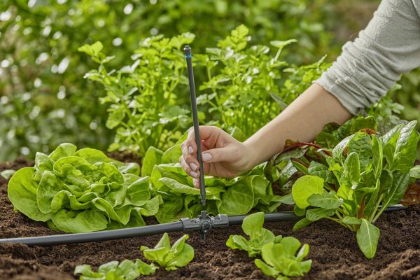 GARDENA Micro-Drip-System 13326-20 Rura przedłużająca 13 mm (1/2″) Ø