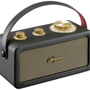 Radio akumulatorowe Sangean RA-101 FM wielokrotne ładowanie czarny, złoty Radio akumulatorowe Sangean RA-101 FM wielokrotne ładowanie czarny, złoty