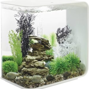 Akwarium akrylowe Oase biOrb FLOW 30 LED weiß 72034, z Podświetleniem LED, 30 l, (D x S x W) 260 x 380 x 390 mm Akwarium akrylowe Oase biOrb FLOW 30 LED weiß 72034, z Podświetleniem LED, 30 l, (D x S x W) 260 x 380 x 390 mm