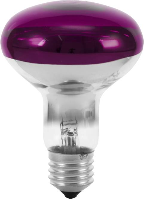 Żarówka żarówka Eurolite 9210440U E-27 60 W fioletowy 1 szt.