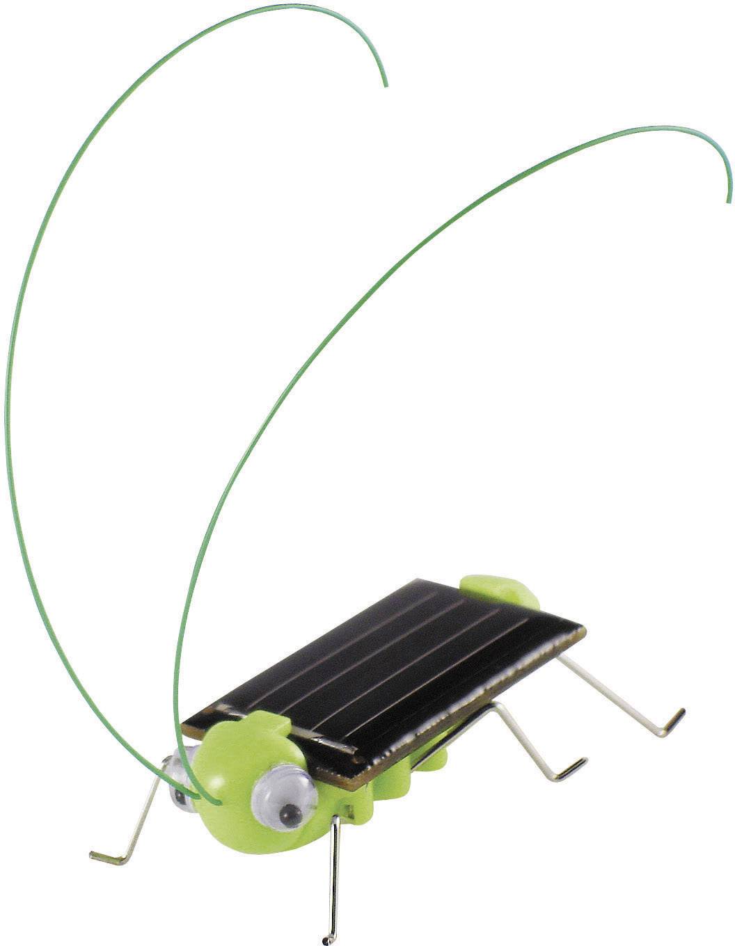 Zabawka solarna - owad Sol Expert 46125, (dł. x szer. x wys. ) 50 x 20 x 20 mm - obrazek 1
