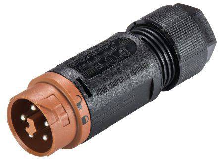 Wieland Electric 46.052.4550.4 Złącze okrągłe złącze męskie proste Seria: RST® MINI Łączna ilość styków: 5 1 szt. - obrazek 1