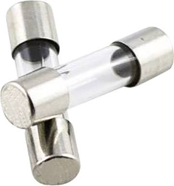 TRU COMPONENTS 1576534 TC-520.617 1A Bezpiecznik (Ø x D) 5 mm x 20 mm 1 A 250 V szybki -F- Zawartość 1 szt.