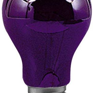 Lampa serwisowa 75W E27 Paulmann 59070, E-27, (Ø x D) 55 mm x 95 mm Lampa serwisowa 75W E27 Paulmann 59070, E-27, (Ø x D) 55 mm x 95 mm