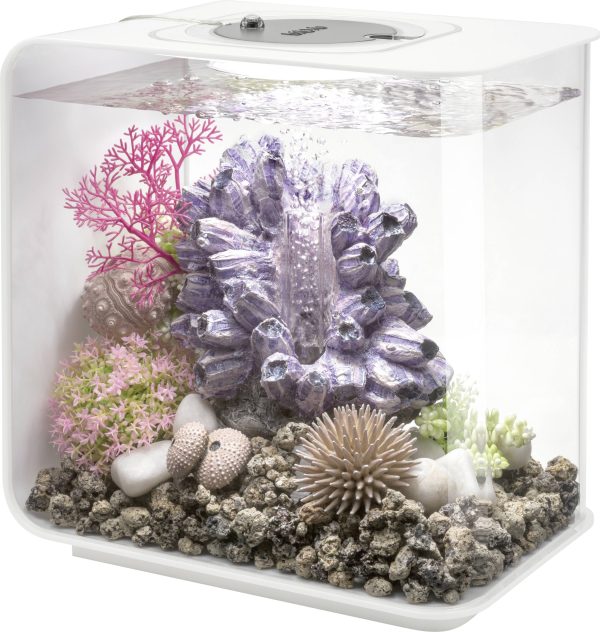 Akwarium akrylowe Oase biOrb FLOW 15 LED weiß 72030, z Podświetleniem LED, 15 l, (D x S x W) 208 x 300 x 315 mm