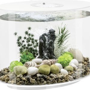 OASE biOrb 86415 biOrb LOOP 30 LED weiß Akwarium EEK: G (A – G) 30 l z Podświetleniem LED OASE biOrb 86415 biOrb LOOP 30 LED weiß Akwarium EEK: G (A – G) 30 l z Podświetleniem LED