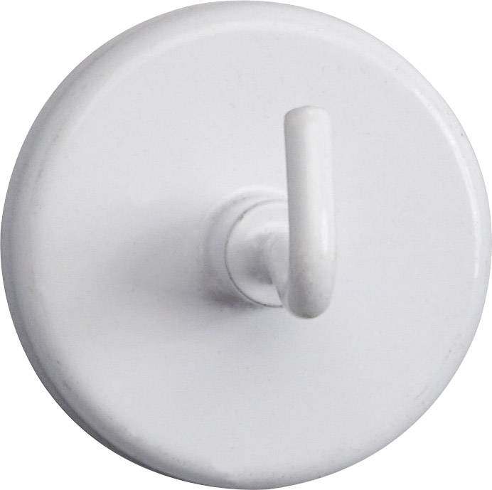 Magnes Maul (Ø x W) 36 mm x 36 mm 5 szt. - obrazek 1