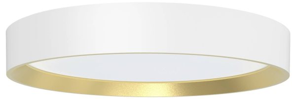 Lampa sufitowa LED Philips Hanno 8720169301375 24 W 2700 lm biały, złoty