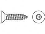 Śruby zabezpieczające TOOLCRAFT TO-5380173 4.8 mm 100 szt. - obrazek 1