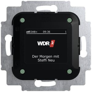 Busch-Jaeger Płytka przycisku Radio 2CKA008200A0275 1 szt. Busch-Jaeger Płytka przycisku Radio 2CKA008200A0275 1 szt.